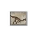 Picture of Dino Skeleton IV _GroupedProduct_Rectangle_Landscape_Mini_ _GroupedProduct_Rectangle_Landscape_Canvas_Framed_