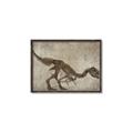 Picture of Dino Skeleton IV _GroupedProduct_Rectangle_Landscape_Mini_ _GroupedProduct_Rectangle_Landscape_Canvas_Framed_