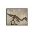 Picture of Dino Skeleton IV _GroupedProduct_Rectangle_Landscape_Mini_ _GroupedProduct_Rectangle_Landscape_Canvas_Framed_