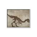 Picture of Dino Skeleton IV _GroupedProduct_Rectangle_Landscape_Mini_ _GroupedProduct_Rectangle_Landscape_Canvas_Framed_
