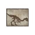 Picture of Dino Skeleton IV _GroupedProduct_Rectangle_Landscape_Mini_ _GroupedProduct_Rectangle_Landscape_Canvas_Framed_