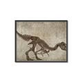Picture of Dino Skeleton IV _GroupedProduct_Rectangle_Landscape_Mini_ _GroupedProduct_Rectangle_Landscape_Canvas_Framed_