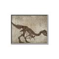Picture of Dino Skeleton IV _GroupedProduct_Rectangle_Landscape_Mini_ _GroupedProduct_Rectangle_Landscape_Canvas_Framed_