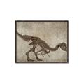 Picture of Dino Skeleton IV _GroupedProduct_Rectangle_Landscape_Mini_ _GroupedProduct_Rectangle_Landscape_Canvas_Framed_
