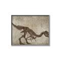 Picture of Dino Skeleton IV _GroupedProduct_Rectangle_Landscape_Mini_ _GroupedProduct_Rectangle_Landscape_Canvas_Framed_