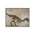 Picture of Dino Skeleton IV _GroupedProduct_Rectangle_Landscape_Mini_ _GroupedProduct_Rectangle_Landscape_Canvas_Framed_