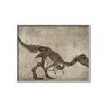 Picture of Dino Skeleton IV _GroupedProduct_Rectangle_Landscape_Mini_ _GroupedProduct_Rectangle_Landscape_Canvas_Framed_