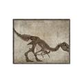 Picture of Dino Skeleton IV _GroupedProduct_Rectangle_Landscape_Mini_ _GroupedProduct_Rectangle_Landscape_Canvas_Framed_