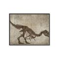 Picture of Dino Skeleton IV _GroupedProduct_Rectangle_Landscape_Mini_ _GroupedProduct_Rectangle_Landscape_Canvas_Framed_