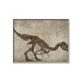 Picture of Dino Skeleton IV _GroupedProduct_Rectangle_Landscape_Mini_ _GroupedProduct_Rectangle_Landscape_Canvas_Framed_
