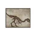 Picture of Dino Skeleton IV _GroupedProduct_Rectangle_Landscape_Mini_ _GroupedProduct_Rectangle_Landscape_Canvas_Framed_