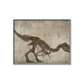 Picture of Dino Skeleton IV _GroupedProduct_Rectangle_Landscape_Mini_ _GroupedProduct_Rectangle_Landscape_Canvas_Framed_
