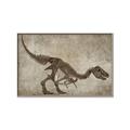 Picture of Dino Skeleton IV _GroupedProduct_Rectangle_Landscape_Mini_ _GroupedProduct_Rectangle_Landscape_Canvas_Framed_