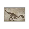 Picture of Dino Skeleton IV _GroupedProduct_Rectangle_Landscape_Mini_ _GroupedProduct_Rectangle_Landscape_Canvas_Framed_