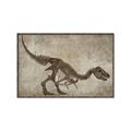 Picture of Dino Skeleton IV _GroupedProduct_Rectangle_Landscape_Mini_ _GroupedProduct_Rectangle_Landscape_Canvas_Framed_