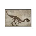 Picture of Dino Skeleton IV _GroupedProduct_Rectangle_Landscape_Mini_ _GroupedProduct_Rectangle_Landscape_Canvas_Framed_