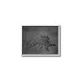 Picture of Geo Dino I Black  _GroupedProduct_Rectangle_Landscape_Mini_ _GroupedProduct_Rectangle_Landscape_Canvas_Framed_