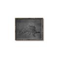 Picture of Geo Dino I Black  _GroupedProduct_Rectangle_Landscape_Mini_ _GroupedProduct_Rectangle_Landscape_Canvas_Framed_