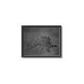 Picture of Geo Dino I Black  _GroupedProduct_Rectangle_Landscape_Mini_ _GroupedProduct_Rectangle_Landscape_Canvas_Framed_