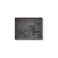 Picture of Geo Dino I Black  _GroupedProduct_Rectangle_Landscape_Mini_ _GroupedProduct_Rectangle_Landscape_Canvas_Framed_