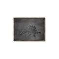 Picture of Geo Dino I Black  _GroupedProduct_Rectangle_Landscape_Mini_ _GroupedProduct_Rectangle_Landscape_Canvas_Framed_