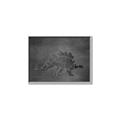 Picture of Geo Dino I Black  _GroupedProduct_Rectangle_Landscape_Mini_ _GroupedProduct_Rectangle_Landscape_Canvas_Framed_