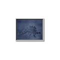 Picture of Geo Dino I  _GroupedProduct_Rectangle_Landscape_Mini_ _GroupedProduct_Rectangle_Landscape_Canvas_Framed_
