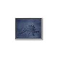 Picture of Geo Dino I  _GroupedProduct_Rectangle_Landscape_Mini_ _GroupedProduct_Rectangle_Landscape_Canvas_Framed_