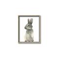 Picture of Brown Bunny _GroupedProduct_Rectangle_Portrait_Mini_ _GroupedProduct_Rectangle_Portrait_Canvas_Framed_