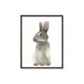 Picture of Brown Bunny _GroupedProduct_Rectangle_Portrait_Mini_ _GroupedProduct_Rectangle_Portrait_Canvas_Framed_