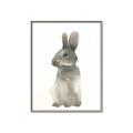 Picture of Brown Bunny _GroupedProduct_Rectangle_Portrait_Mini_ _GroupedProduct_Rectangle_Portrait_Canvas_Framed_