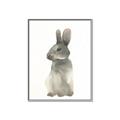 Picture of Brown Bunny _GroupedProduct_Rectangle_Portrait_Mini_ _GroupedProduct_Rectangle_Portrait_Canvas_Framed_