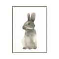 Picture of Brown Bunny _GroupedProduct_Rectangle_Portrait_Mini_ _GroupedProduct_Rectangle_Portrait_Canvas_Framed_