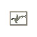 Picture of Orca Whale _GroupedProduct_Rectangle_Landscape_Mini_ _GroupedProduct_Rectangle_Landscape_Canvas_Framed_