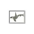 Picture of Orca Whale _GroupedProduct_Rectangle_Landscape_Mini_ _GroupedProduct_Rectangle_Landscape_Canvas_Framed_