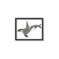 Picture of Orca Whale _GroupedProduct_Rectangle_Landscape_Mini_ _GroupedProduct_Rectangle_Landscape_Canvas_Framed_