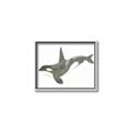 Picture of Orca Whale _GroupedProduct_Rectangle_Landscape_Mini_ _GroupedProduct_Rectangle_Landscape_Canvas_Framed_