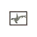 Picture of Orca Whale _GroupedProduct_Rectangle_Landscape_Mini_ _GroupedProduct_Rectangle_Landscape_Canvas_Framed_