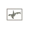 Picture of Orca Whale _GroupedProduct_Rectangle_Landscape_Mini_ _GroupedProduct_Rectangle_Landscape_Canvas_Framed_