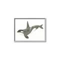 Picture of Orca Whale _GroupedProduct_Rectangle_Landscape_Mini_ _GroupedProduct_Rectangle_Landscape_Canvas_Framed_