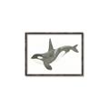 Picture of Orca Whale _GroupedProduct_Rectangle_Landscape_Mini_ _GroupedProduct_Rectangle_Landscape_Canvas_Framed_