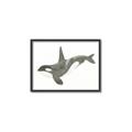 Picture of Orca Whale _GroupedProduct_Rectangle_Landscape_Mini_ _GroupedProduct_Rectangle_Landscape_Canvas_Framed_