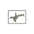 Picture of Orca Whale _GroupedProduct_Rectangle_Landscape_Mini_ _GroupedProduct_Rectangle_Landscape_Canvas_Framed_
