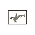 Picture of Orca Whale _GroupedProduct_Rectangle_Landscape_Mini_ _GroupedProduct_Rectangle_Landscape_Canvas_Framed_