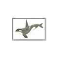 Picture of Orca Whale _GroupedProduct_Rectangle_Landscape_Mini_ _GroupedProduct_Rectangle_Landscape_Canvas_Framed_