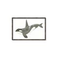 Picture of Orca Whale _GroupedProduct_Rectangle_Landscape_Mini_ _GroupedProduct_Rectangle_Landscape_Canvas_Framed_