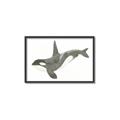 Picture of Orca Whale _GroupedProduct_Rectangle_Landscape_Mini_ _GroupedProduct_Rectangle_Landscape_Canvas_Framed_