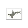 Picture of Orca Whale _GroupedProduct_Rectangle_Landscape_Mini_ _GroupedProduct_Rectangle_Landscape_Canvas_Framed_