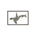 Picture of Orca Whale _GroupedProduct_Rectangle_Landscape_Mini_ _GroupedProduct_Rectangle_Landscape_Canvas_Framed_