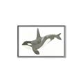 Picture of Orca Whale _GroupedProduct_Rectangle_Landscape_Mini_ _GroupedProduct_Rectangle_Landscape_Canvas_Framed_